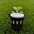 net pot